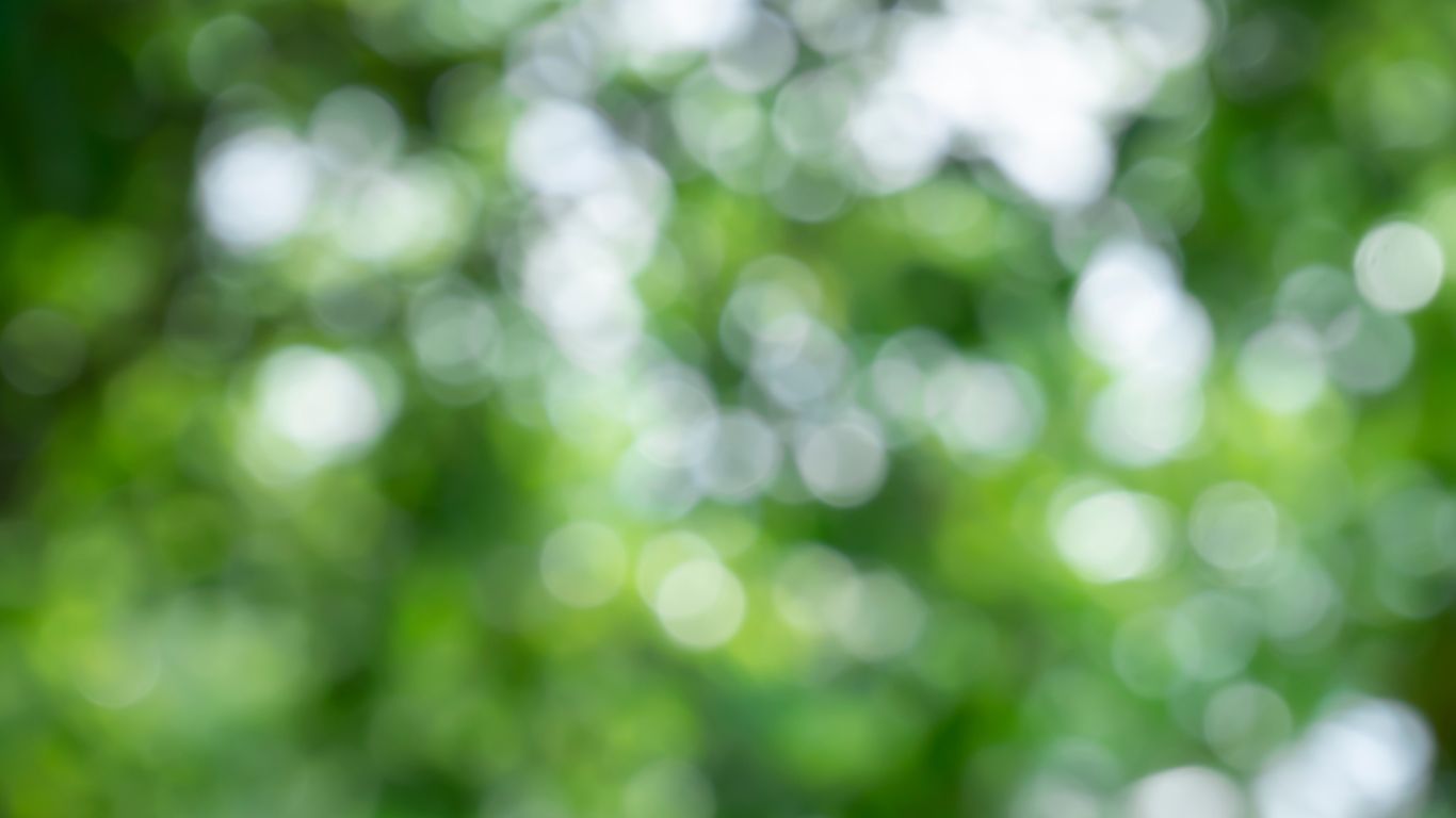 widget_50_7_slide_2_bg1747662392.jpg